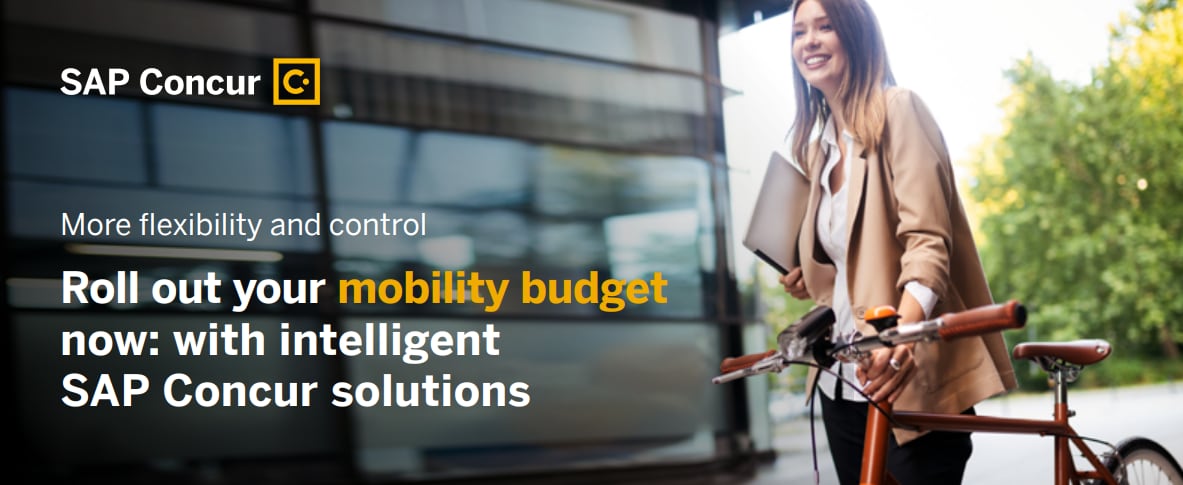 Resource asset image